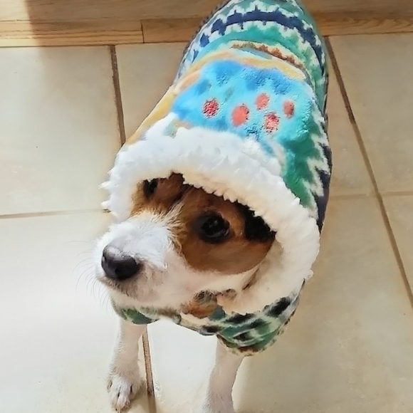 Pls Finish Shares Now! ShareList&SignOut/ Feb 6-8⬇️👒Sat Down South🌴 - Picture 2 of 16